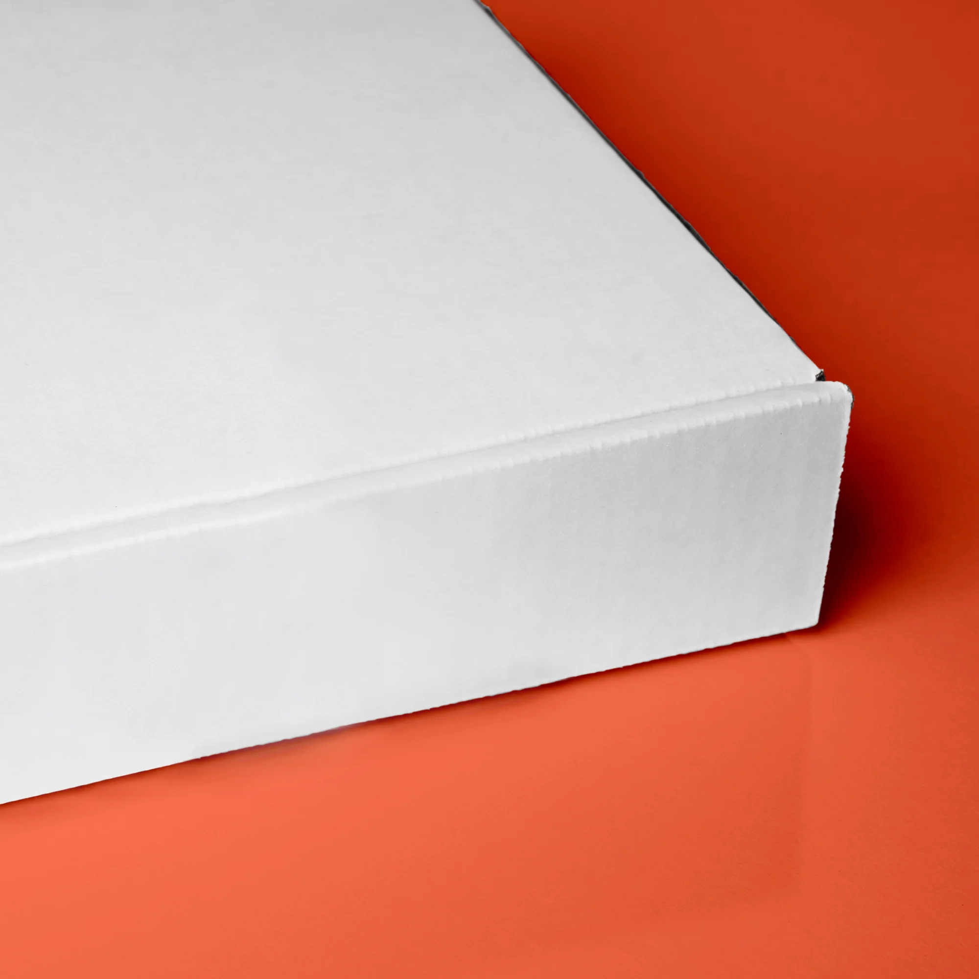 Blank Literature Mailer Box / 700 units - Image 2