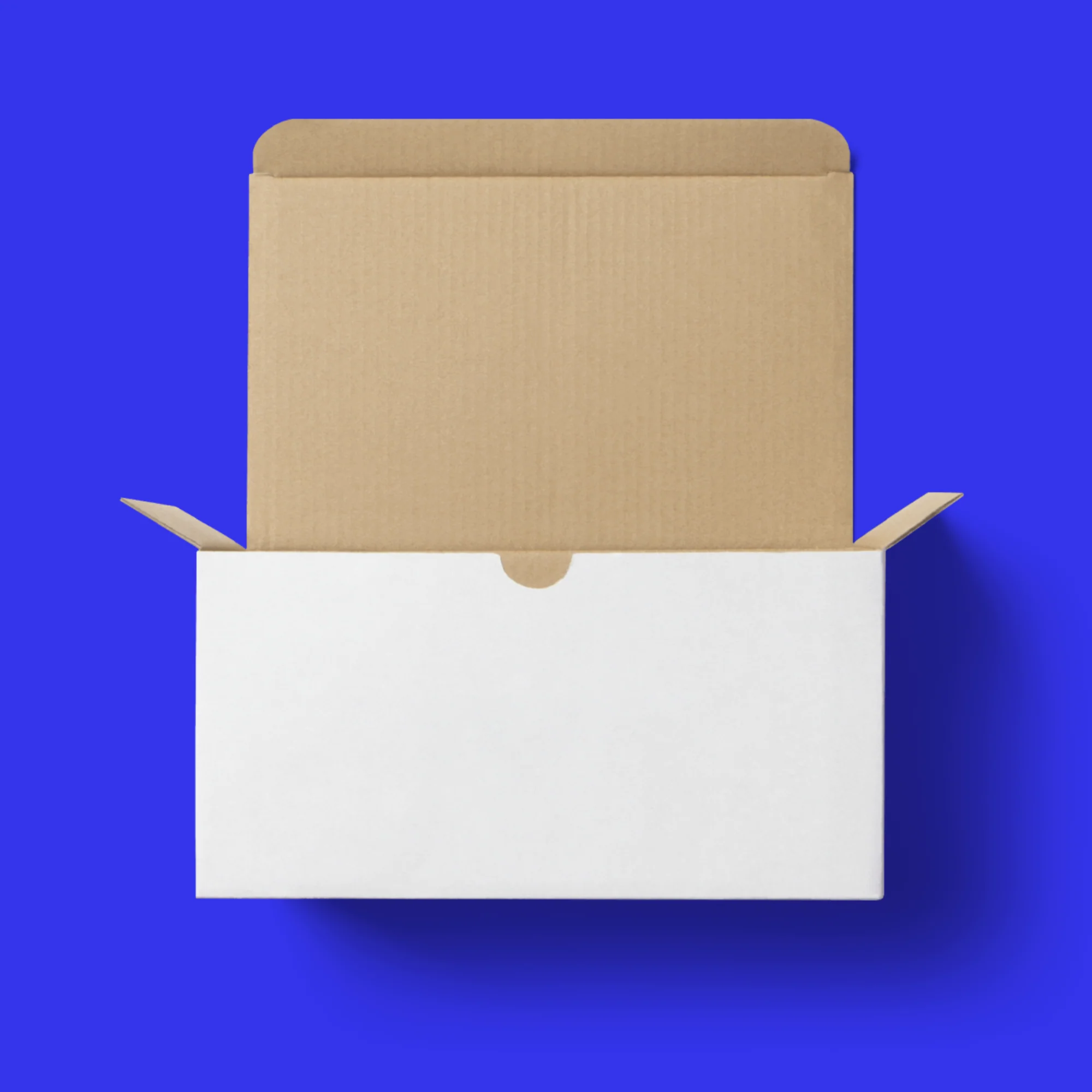 Blank Literature Mailer Box / 800 units - Image 3