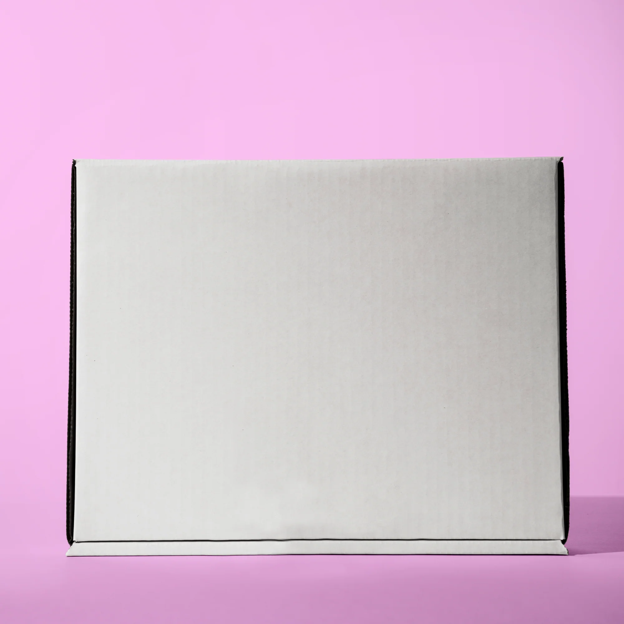 Blank Literature Mailer Box / 900 units