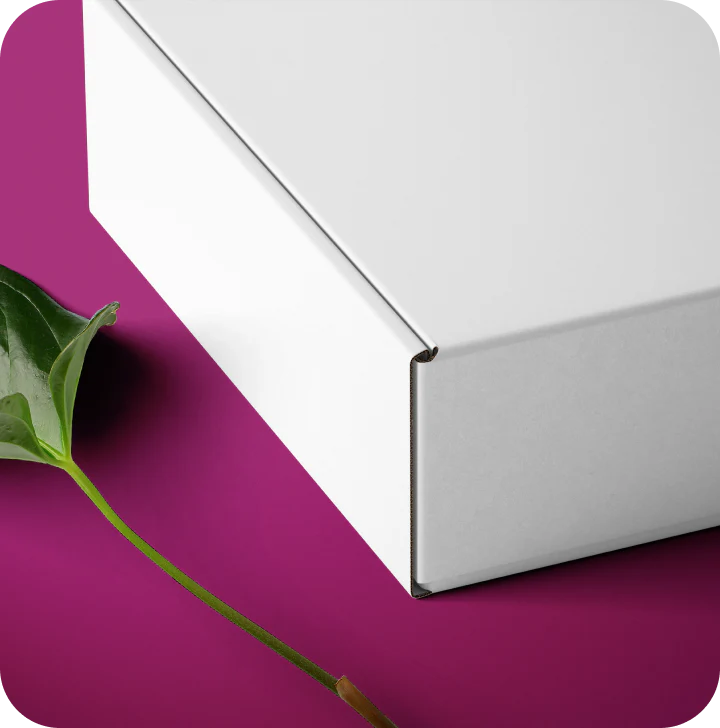 Blank Mailers - Image 3