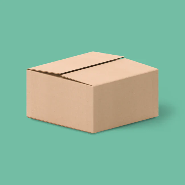 Blank Shipper / 25 units - Image 2