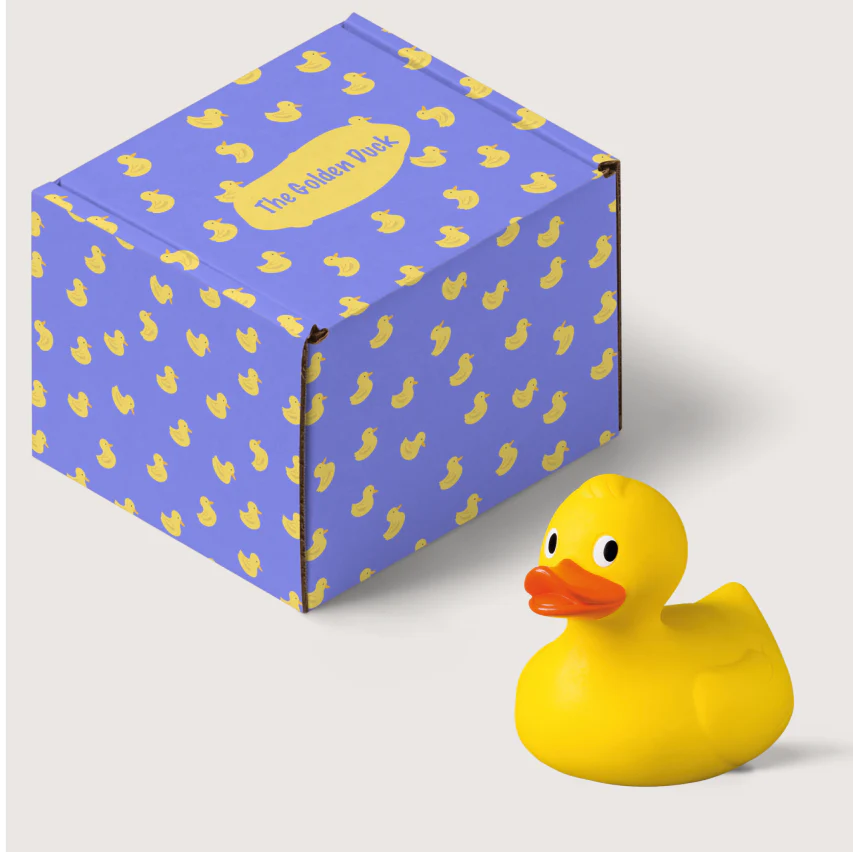 Custom Toy Packaging Boxes / Inside printing / 250 units - Image 2